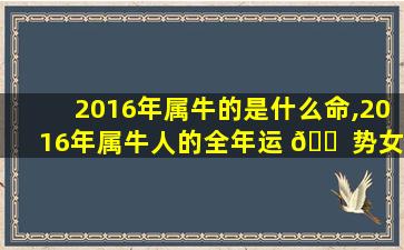 2016年属牛的是什么命,2016年属牛人的全年运 🐠 势女性